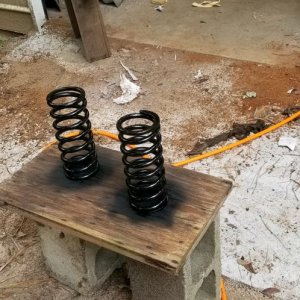 Coil springs painted s.jpg