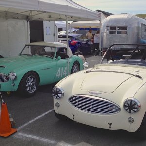 Sonoma Healey Pits 2014.jpg