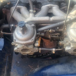 tr6 carbs.jpg