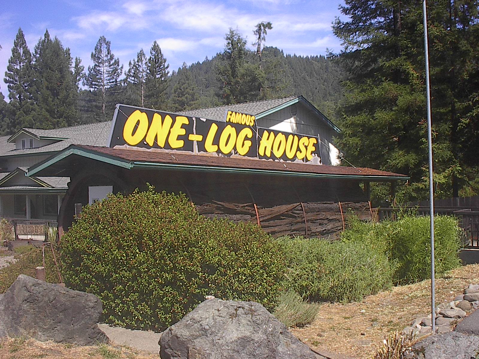 003.JPG