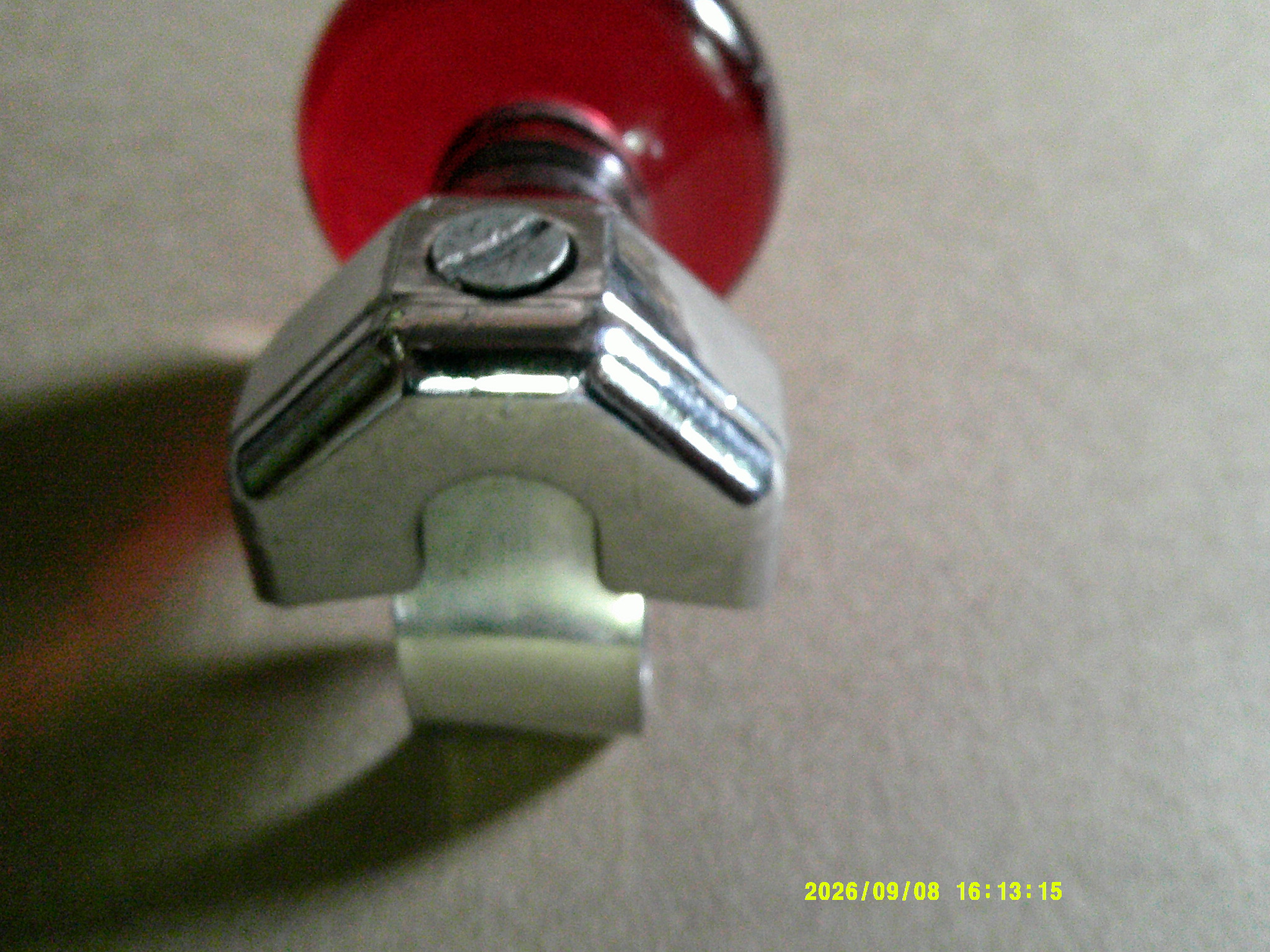 005.JPG