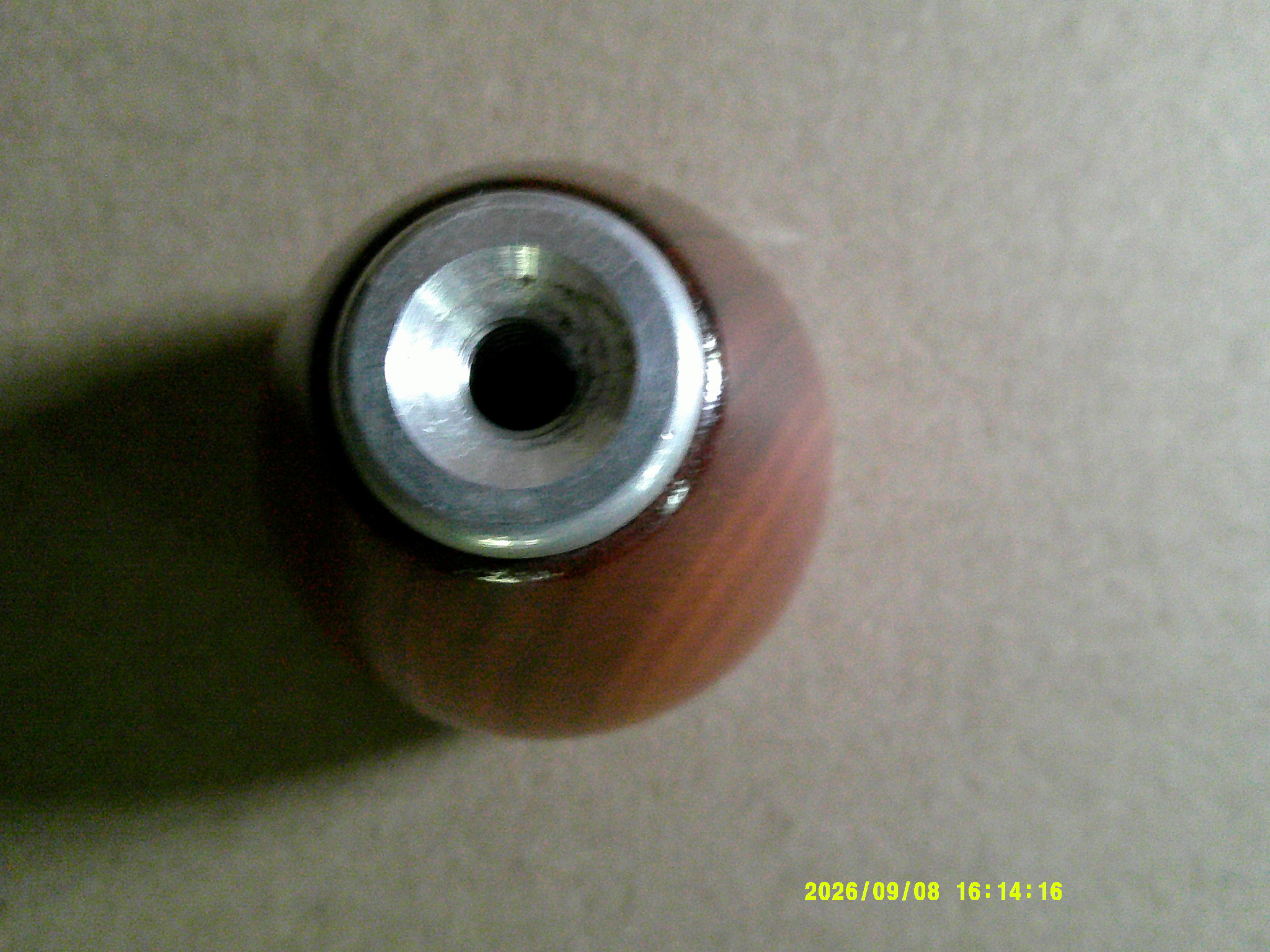 008.JPG