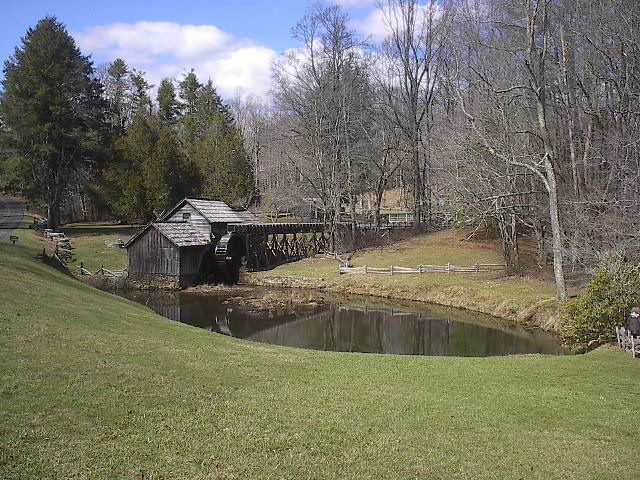 010.JPG