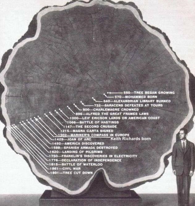 1300 year old tree.jpg