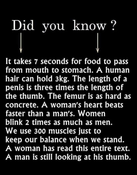 1625919820034.png