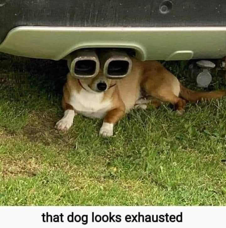 1627388354835.png