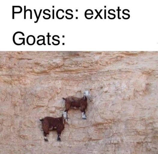 1633388921036.png