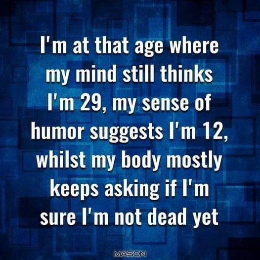 1645899767736.png