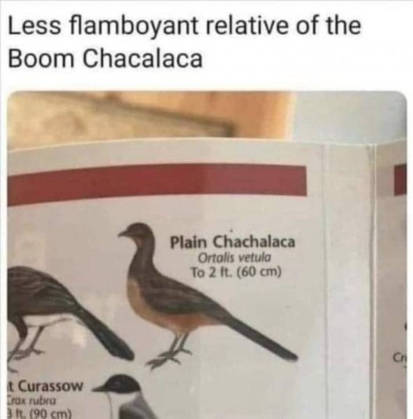 1647180317820.png