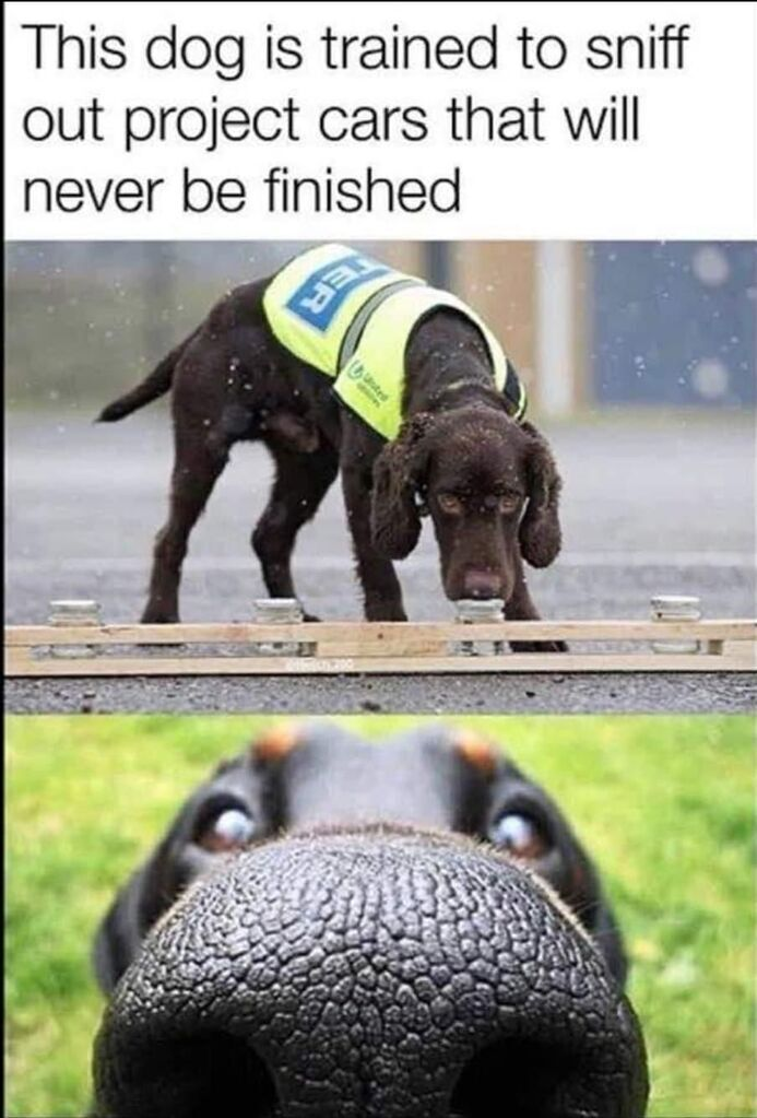 1652838554657.png