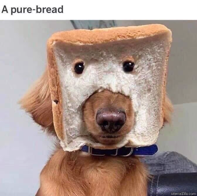 1653684428432.png