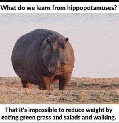 1657379240496.png