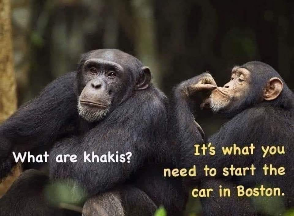 1660527286162.png
