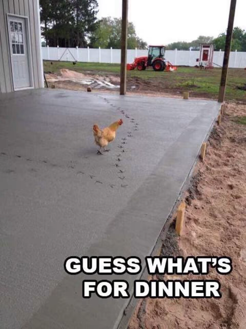 1661464879730.png