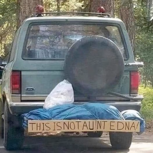 1663366501490.png