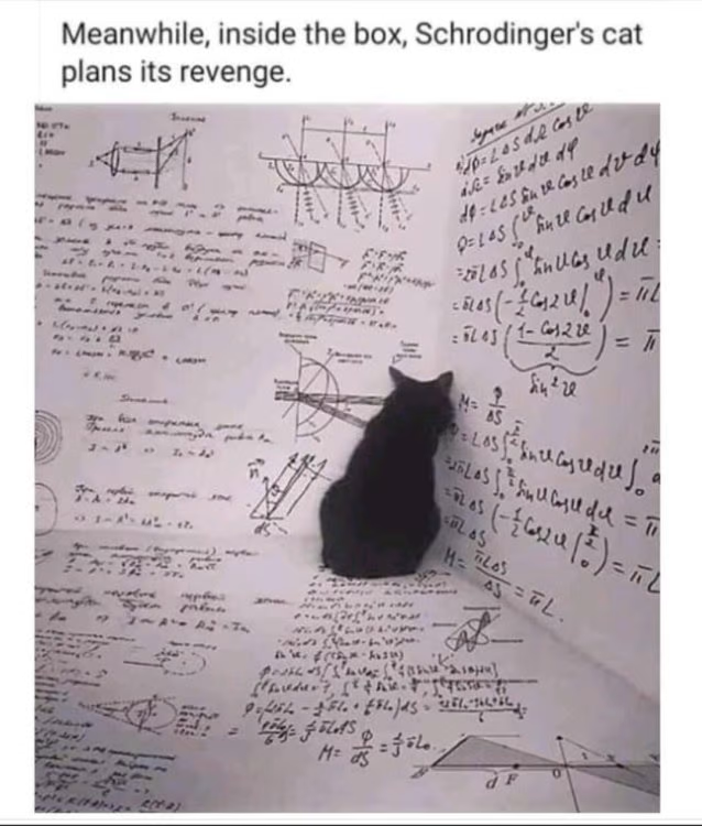 1664288500938.png