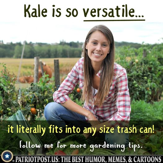 1666048922996.png