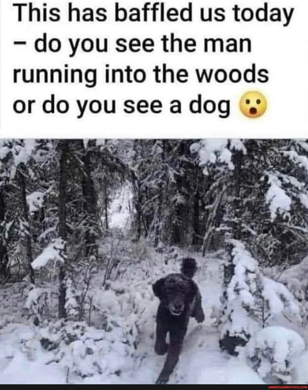 1666654330903.png
