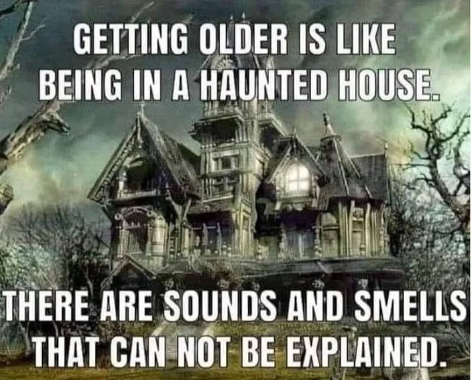 1678208045768.png