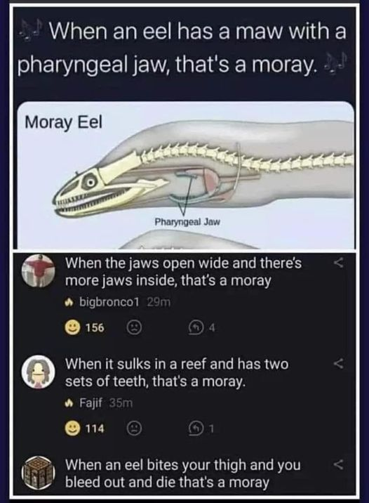 1680049420209.png