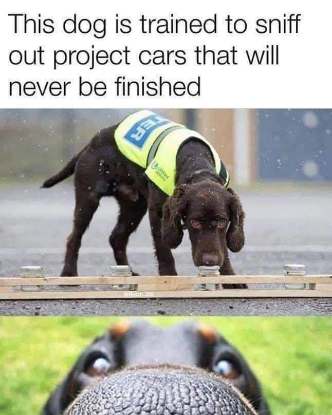 1680454507055.png