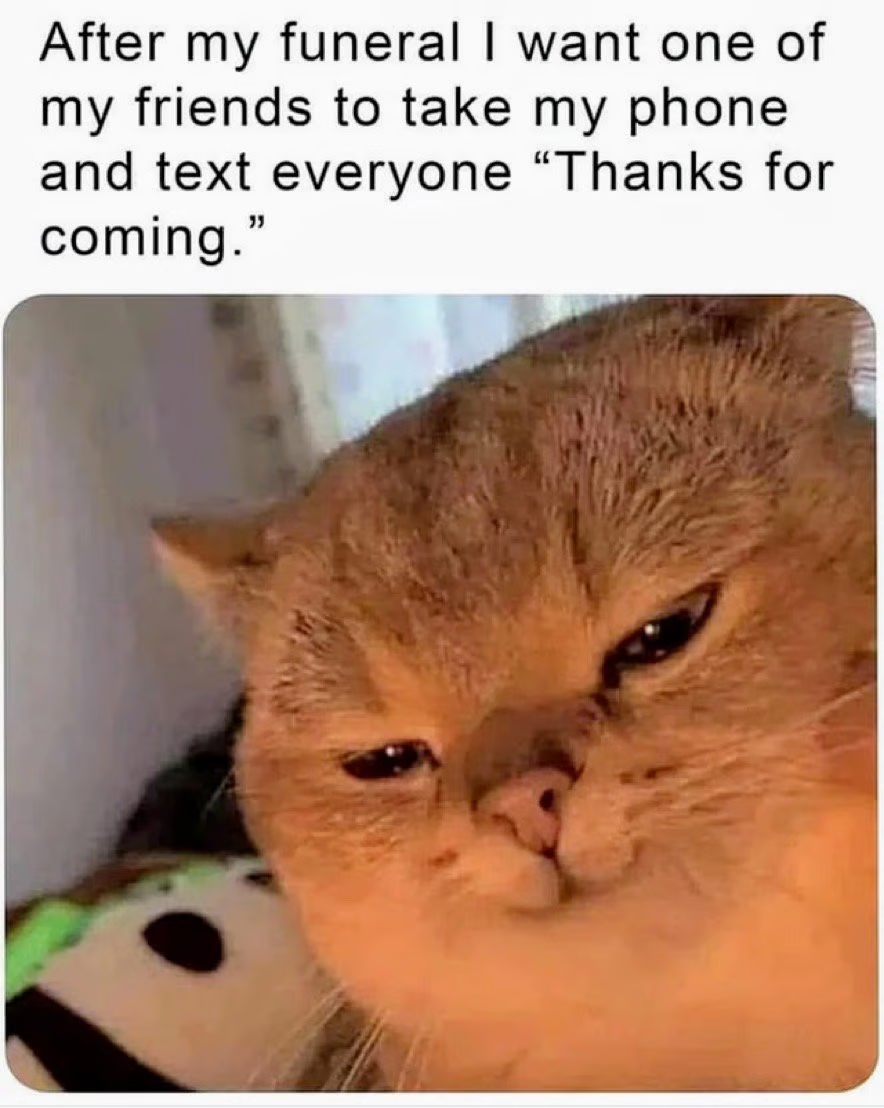1682729385502.png