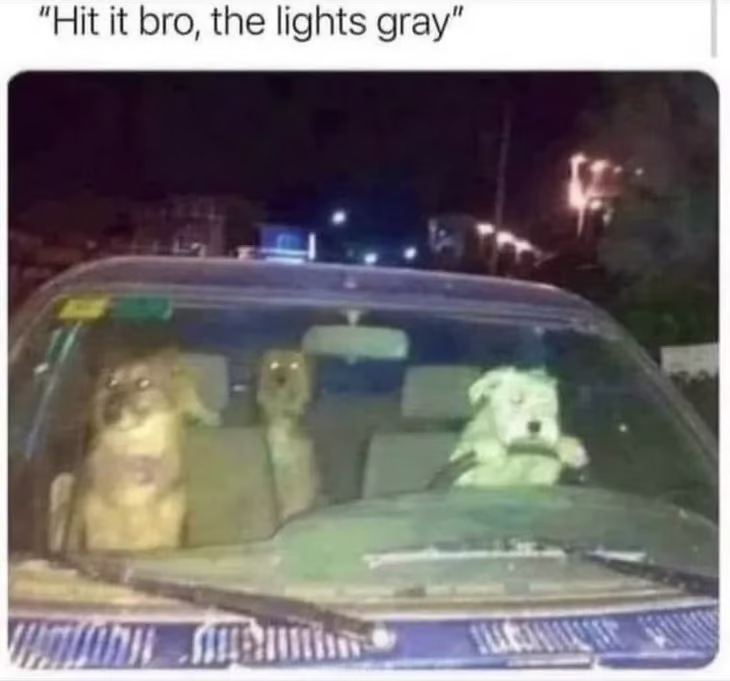 1683154942420.png