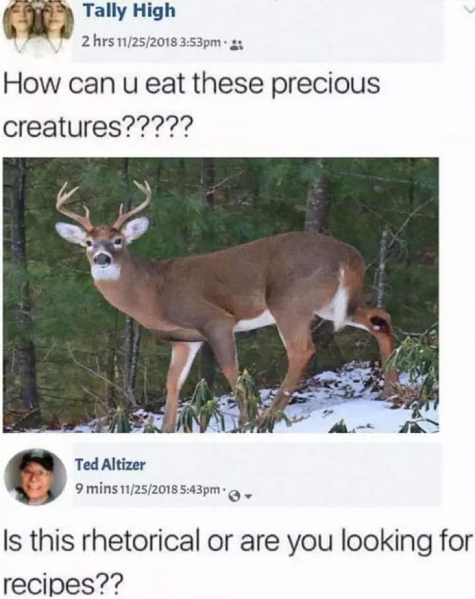 1684167057470.png