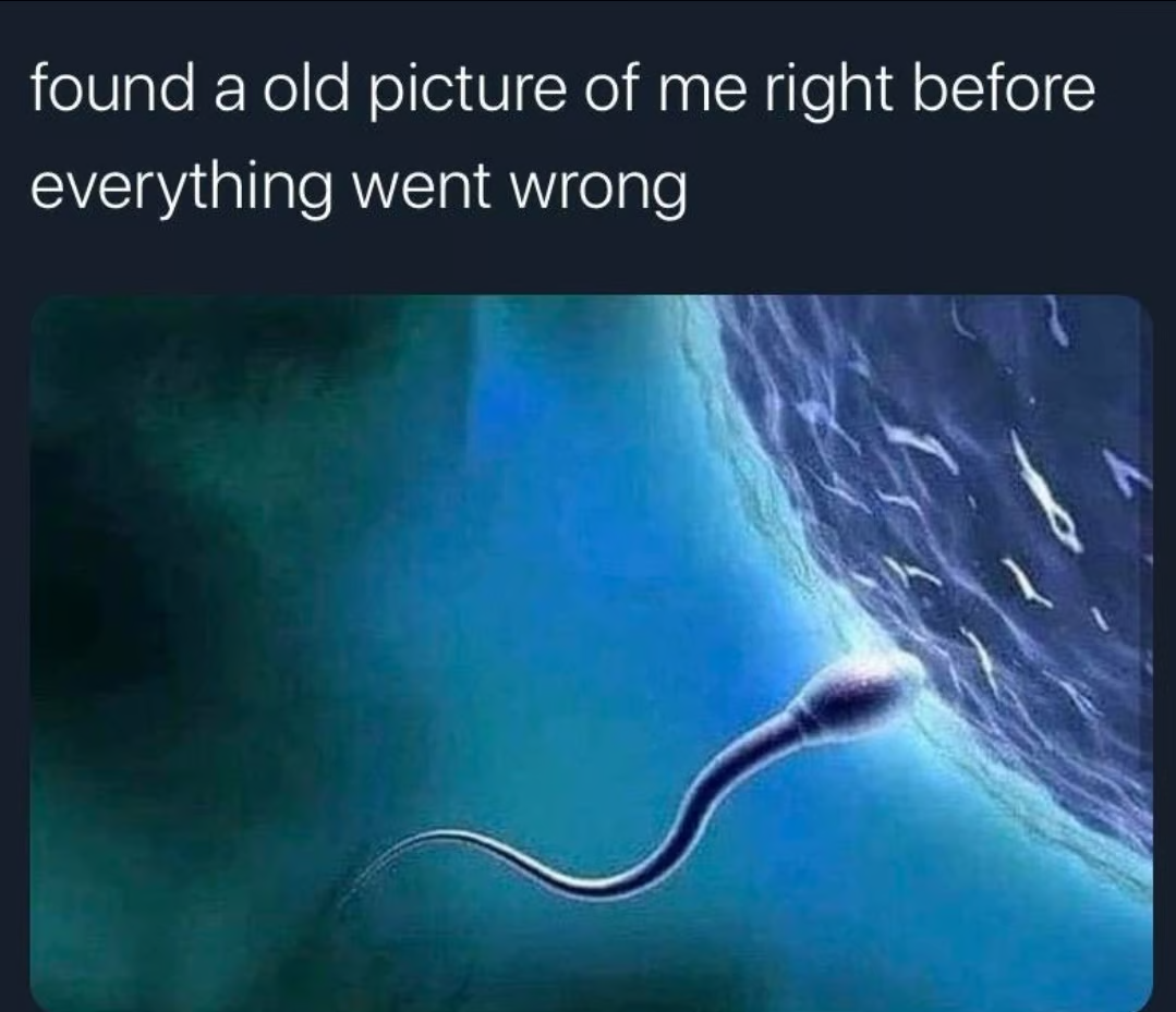 1684958467316.png