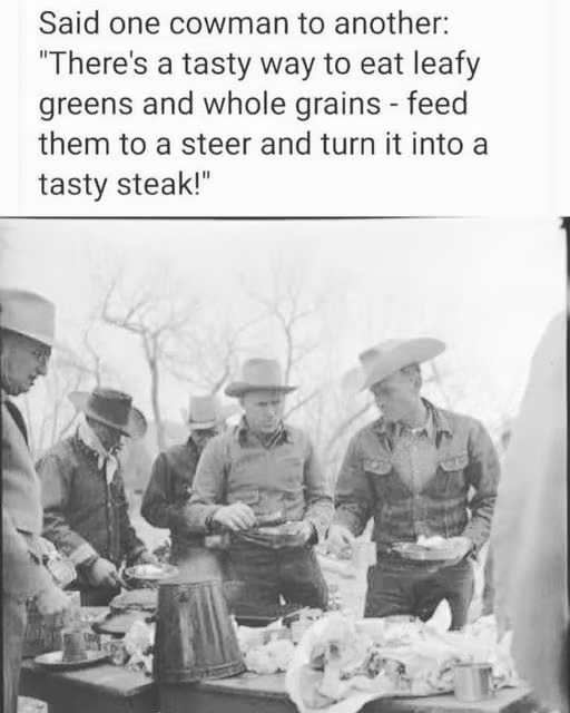 1685044097169.png