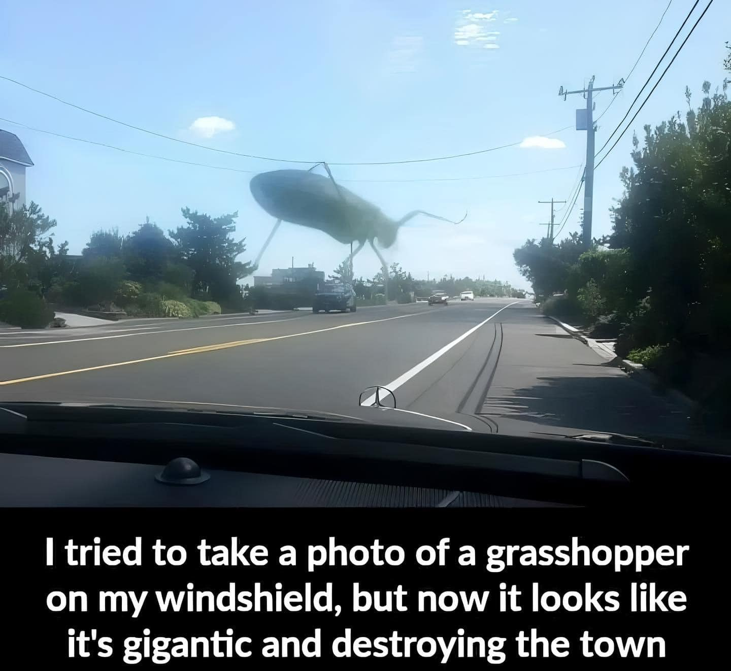 1685492820186.png