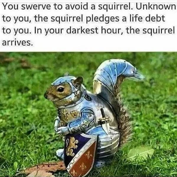 1685656863985.png