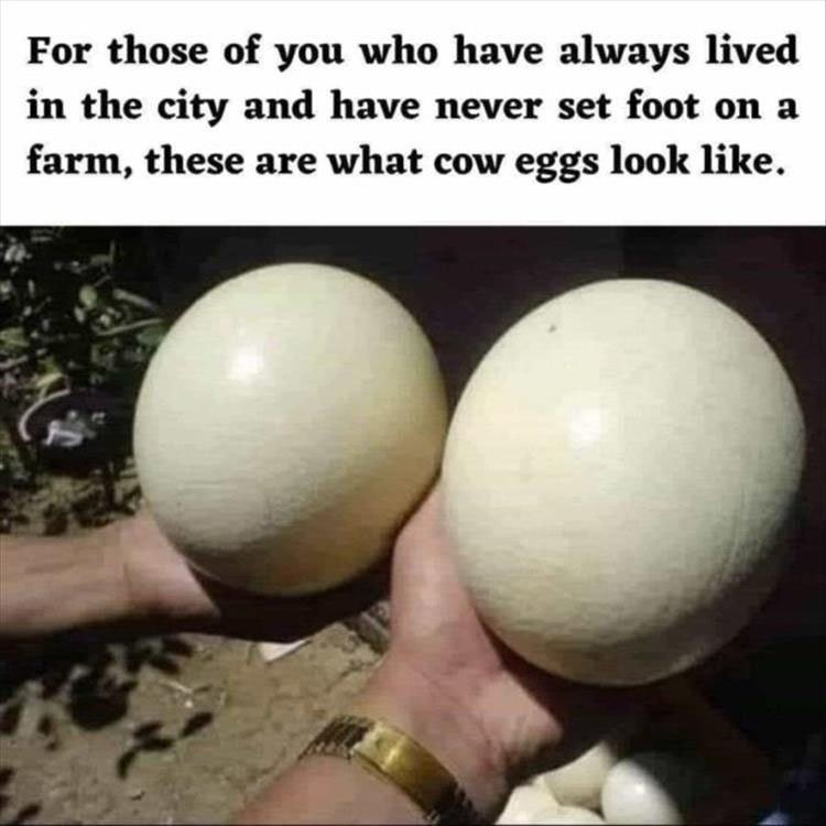 1685823115473.png