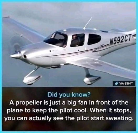 1687637777729.png