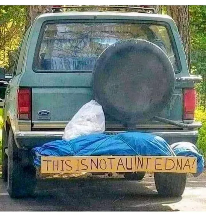 1690212345913.png