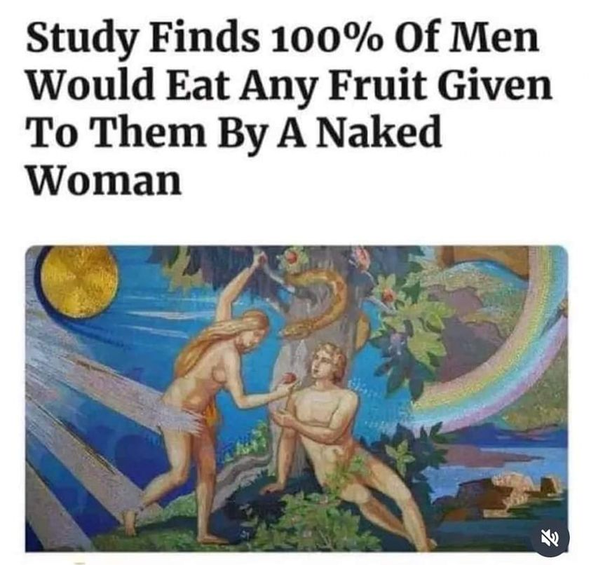 1690388964117.png