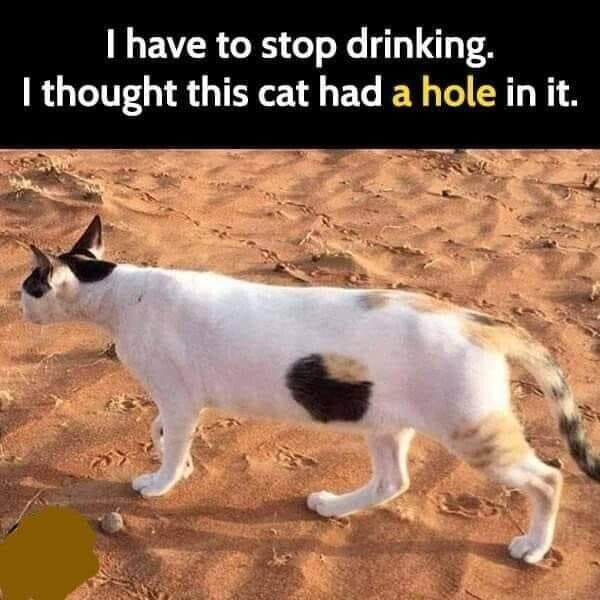 1702842879094.png