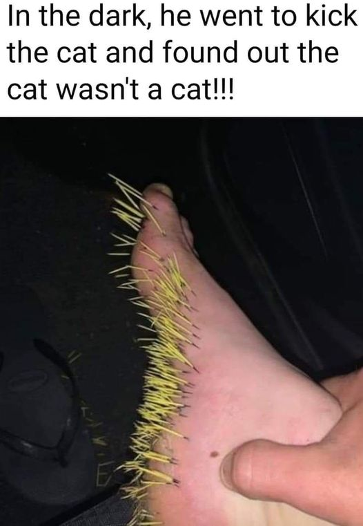 1703444569136.png
