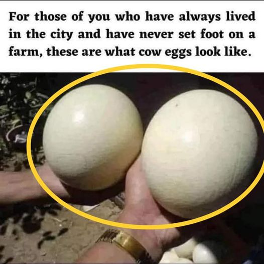 1703955304192.png