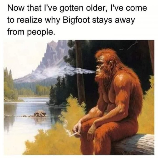 1709560804221.png