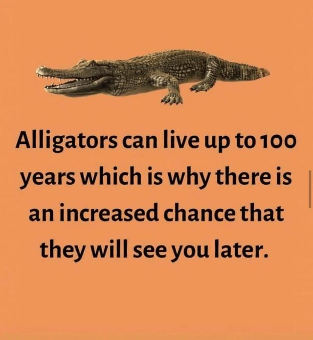 1710552148102.png