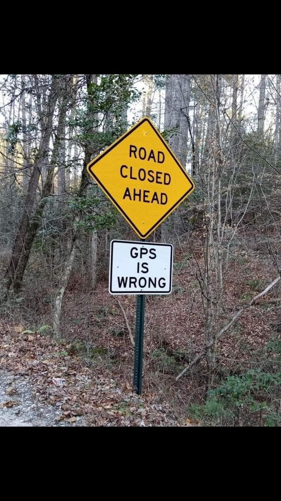 1716208477547.png