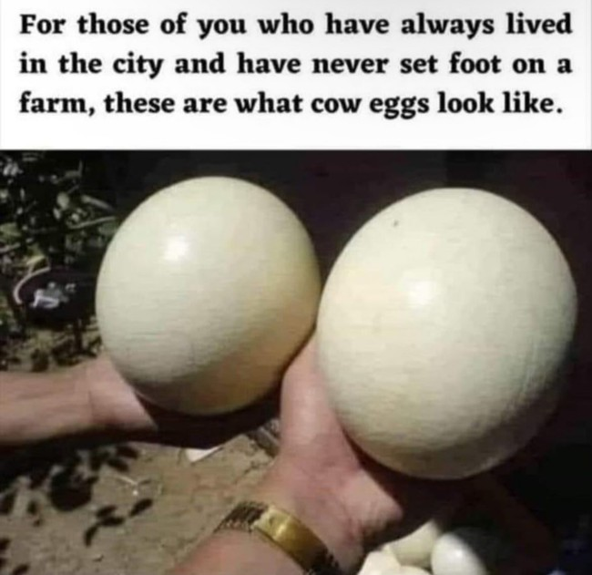 1721053318183.png