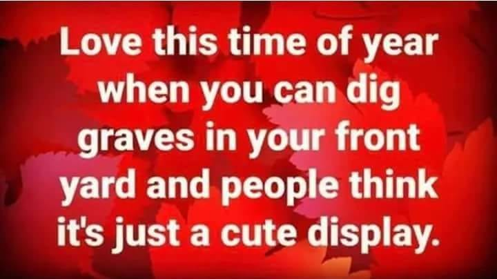 1728857509602.png