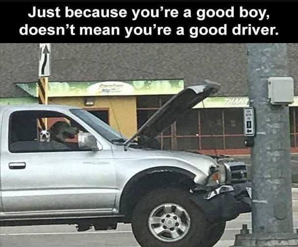 1730931478762.png