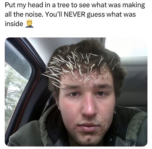 1731349655694.png