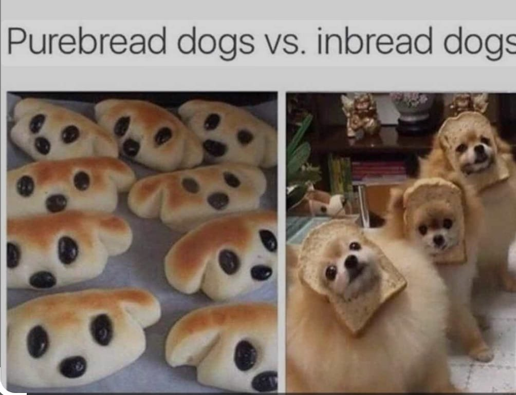1733246052272.png