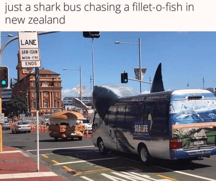 1733758267233.png