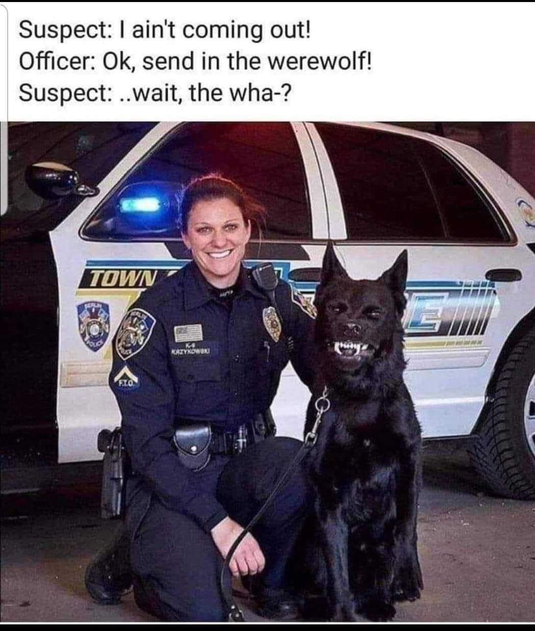 1733848358104.png