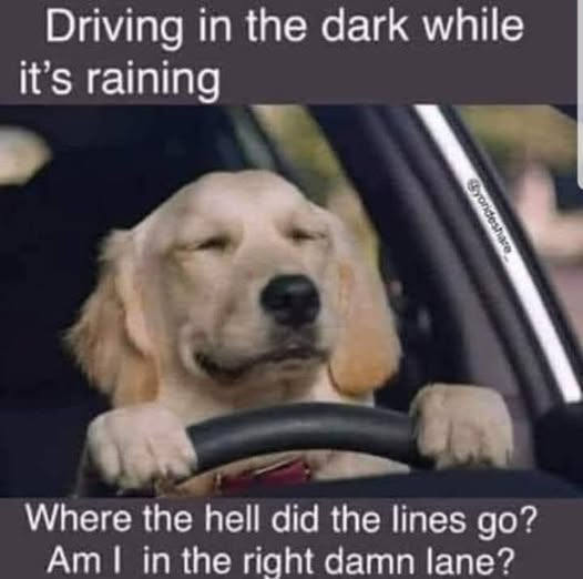 1735326919064.png